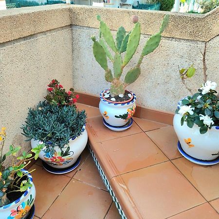 Apartament Casa De Buenos Dias Torrevieja Zewnętrze zdjęcie