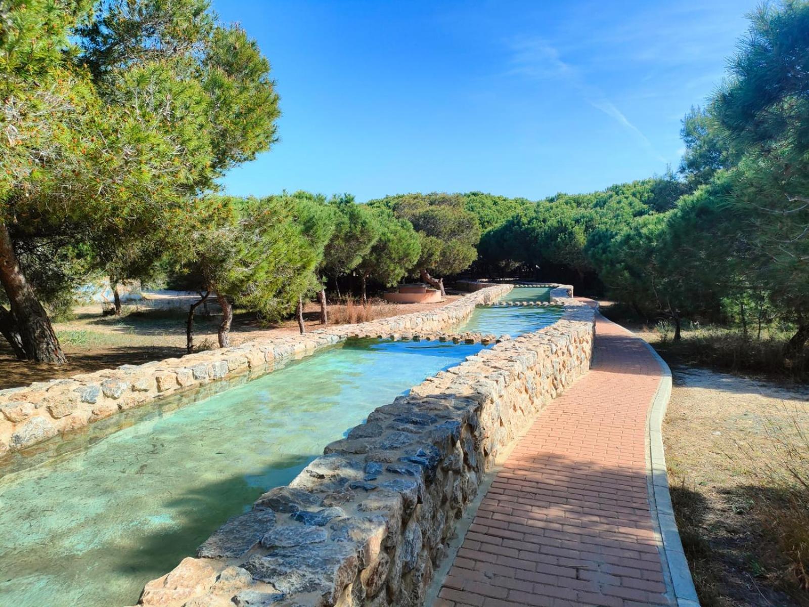 Apartament Casa De Buenos Dias Torrevieja Zewnętrze zdjęcie