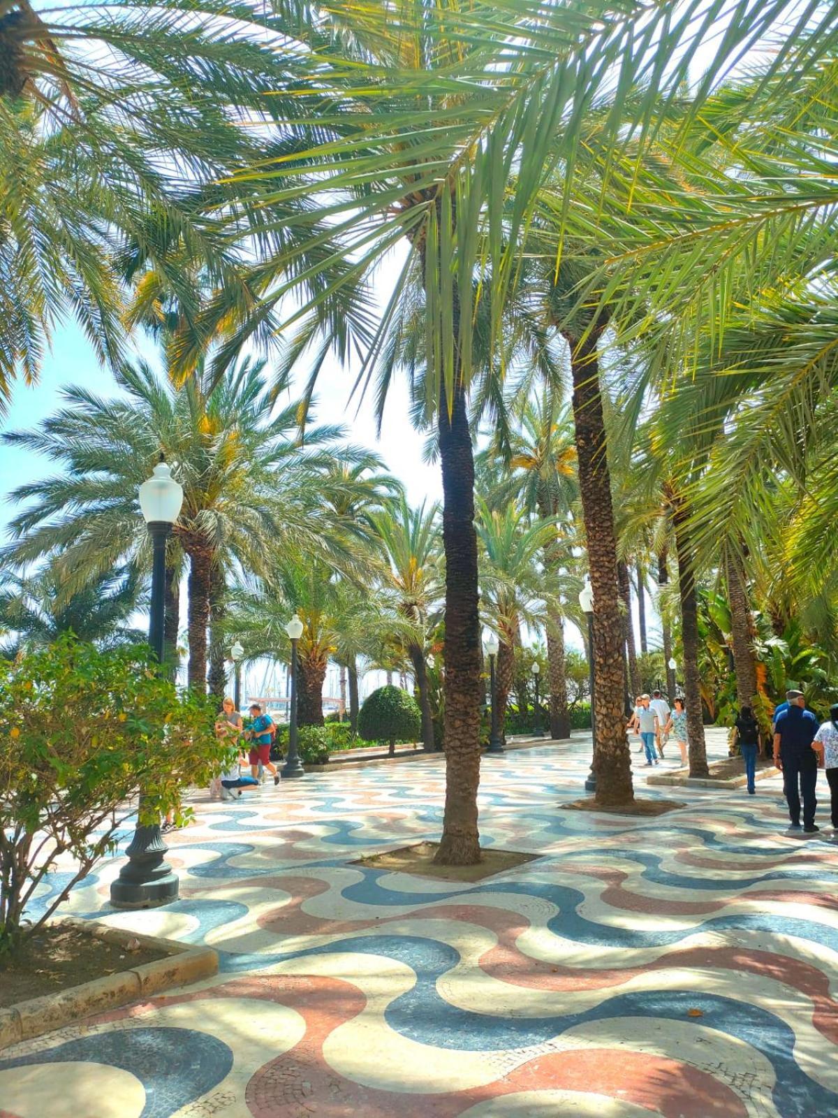 Apartament Casa De Buenos Dias Torrevieja Zewnętrze zdjęcie