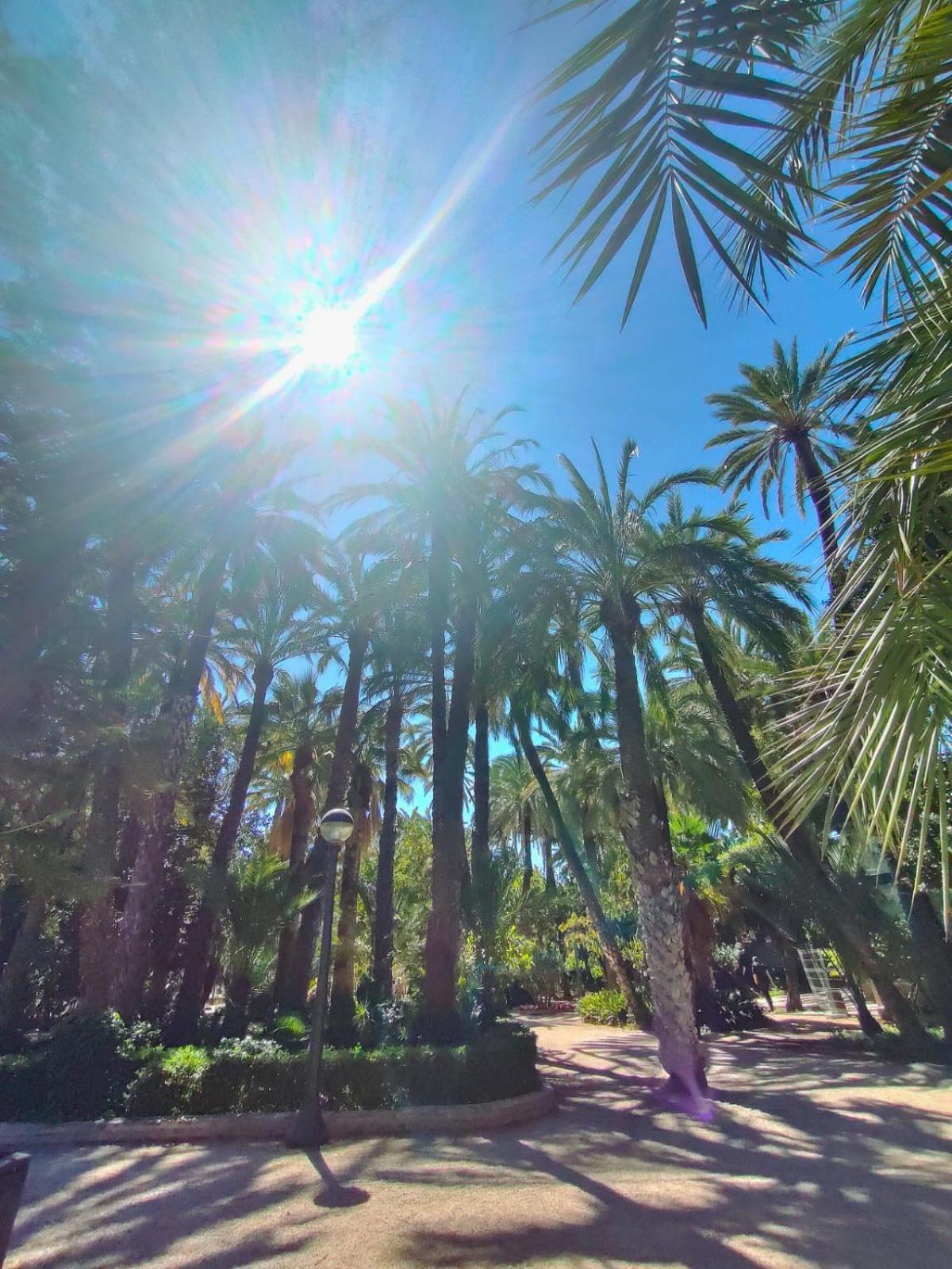 Apartament Casa De Buenos Dias Torrevieja Zewnętrze zdjęcie