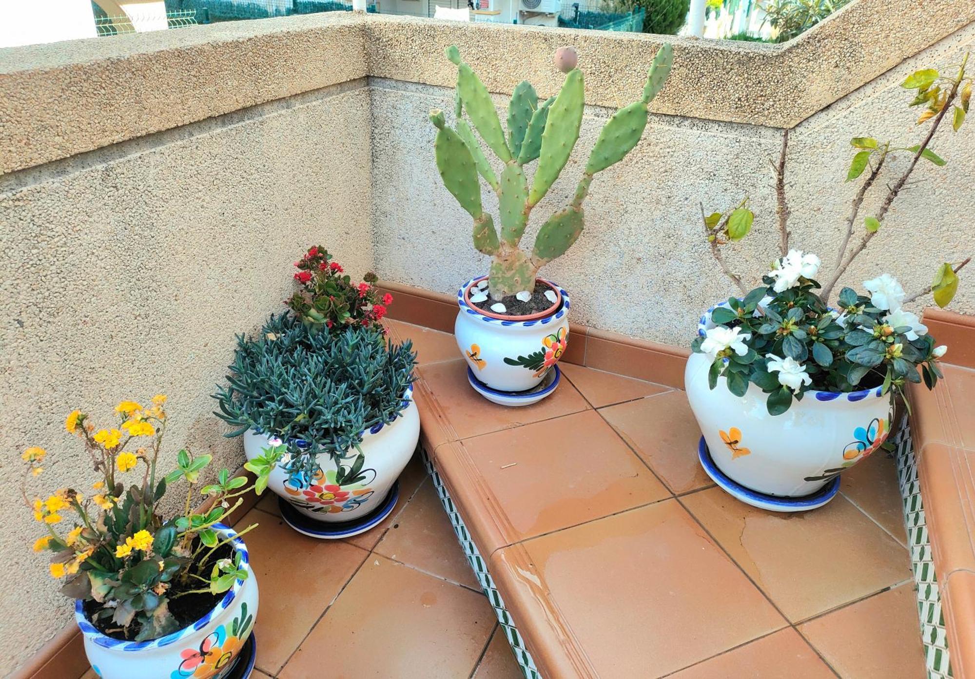 Apartament Casa De Buenos Dias Torrevieja Zewnętrze zdjęcie